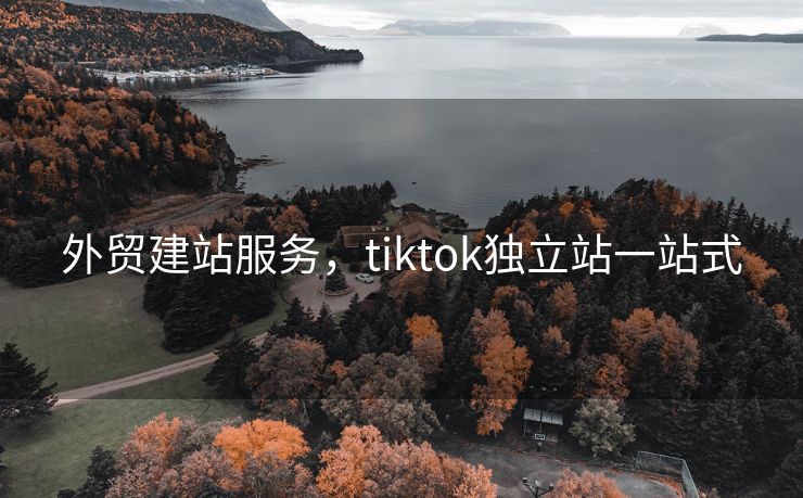 外贸建站服务，tiktok独立站一站式