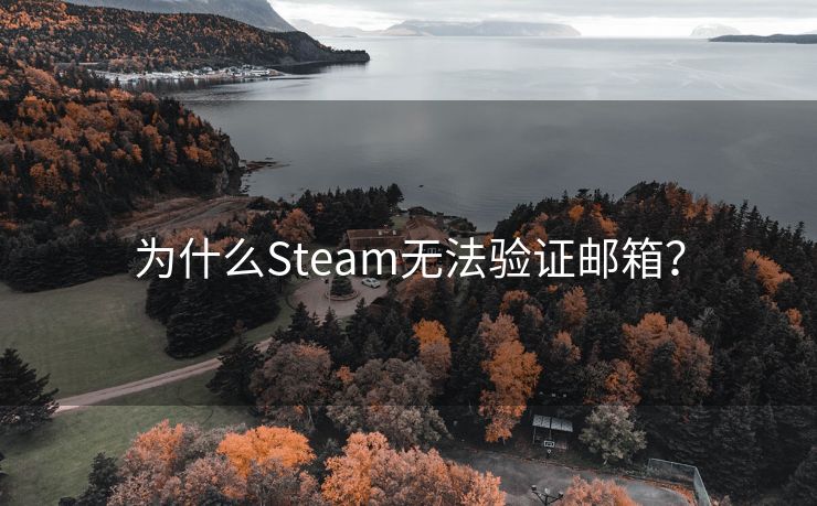 为什么Steam无法验证邮箱？