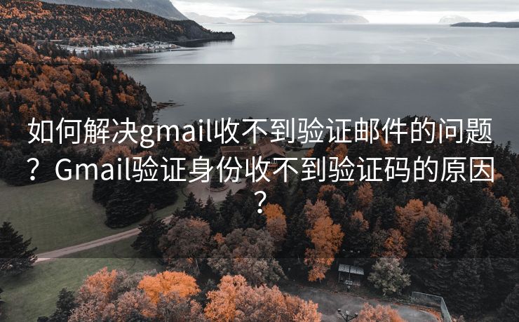 如何解决gmail收不到验证邮件的问题？Gmail验证身份收不到验证码的原因？