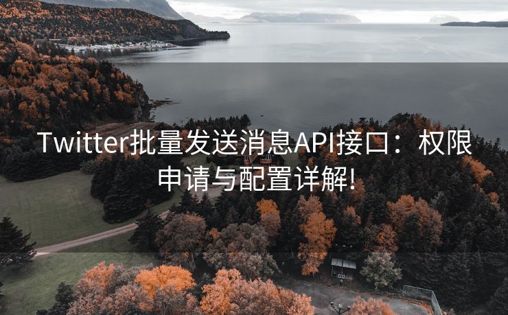 Twitter批量发送消息API接口：权限申请与配置详解!