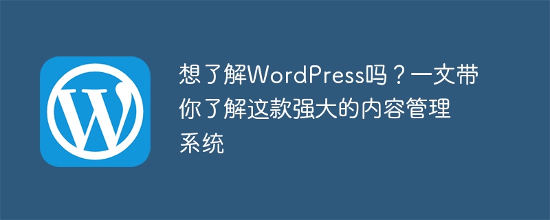 想了解WordPress吗？一文带你了解这款强大的内容管理系统