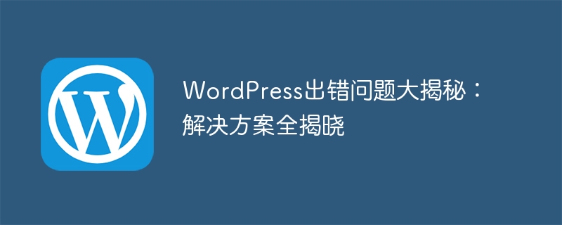 WordPress出错问题大揭秘：解决方案全揭晓