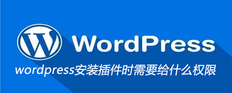 wordpress安装插件时需要给什么权限