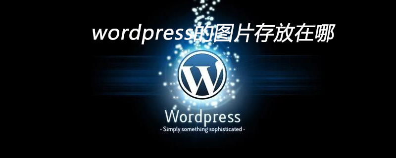 wordpress的图片存放在哪