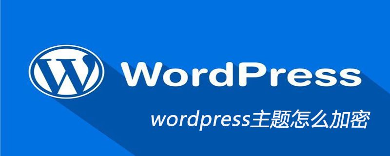 wordpress主题怎么加密