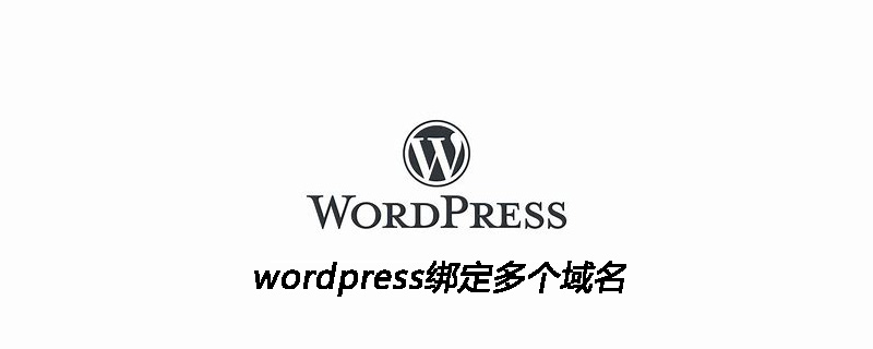 wordpress绑定多个域名