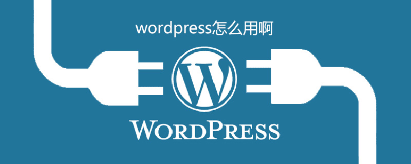 wordpress怎么用啊