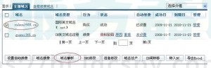 如何将万网域名解析到BlueHost主机上