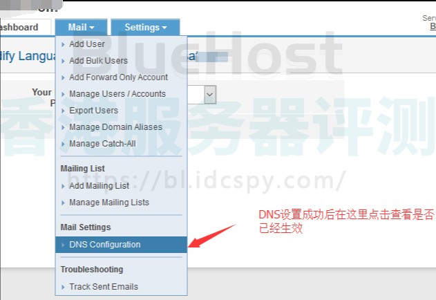 BlueHost企业邮局DNS界面