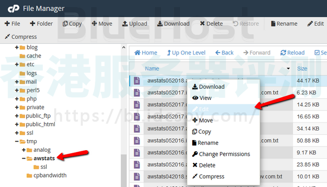 BlueHost cPanel面板删除Awstats日志