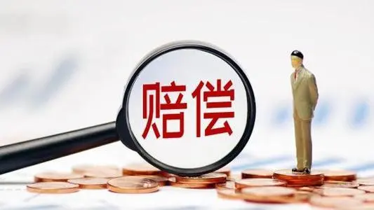 物流时效延误可以赔偿吗？（国际物流延误赔付标准与流程）