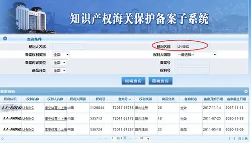 海关知识产权查询平台（中国海关门户网站查询）