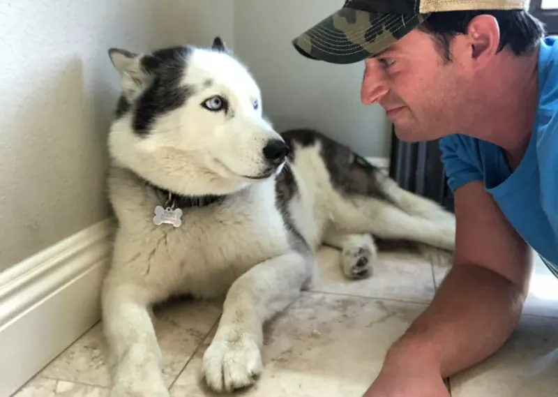 夫妻做独立站卖宠物手链,一年进账一个多亿