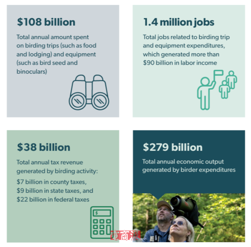 小众单品撬动千亿市场，一个月爆卖500万美金