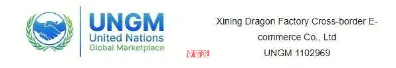 大龙网西宁龙工场入围联合国采购供应商行列